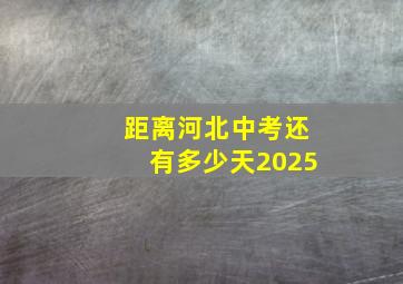 距离河北中考还有多少天2025