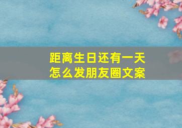 距离生日还有一天怎么发朋友圈文案