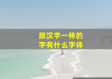 跟汉字一样的字有什么字体