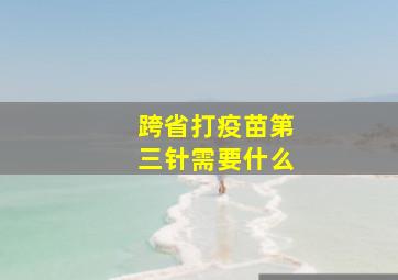 跨省打疫苗第三针需要什么