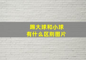 踢大球和小球有什么区别图片