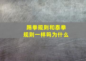 踢拳规则和泰拳规则一样吗为什么