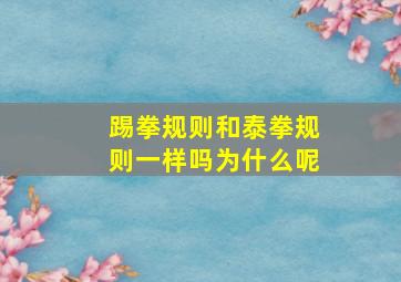 踢拳规则和泰拳规则一样吗为什么呢