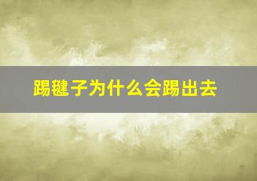 踢毽子为什么会踢出去