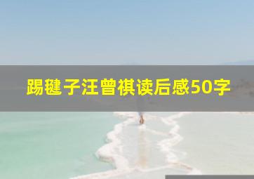 踢毽子汪曾祺读后感50字