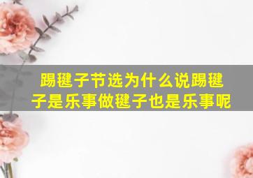 踢毽子节选为什么说踢毽子是乐事做毽子也是乐事呢