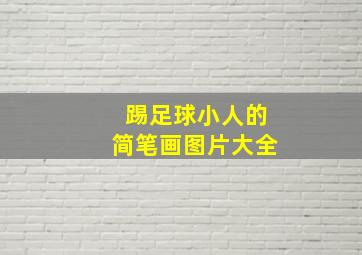 踢足球小人的简笔画图片大全