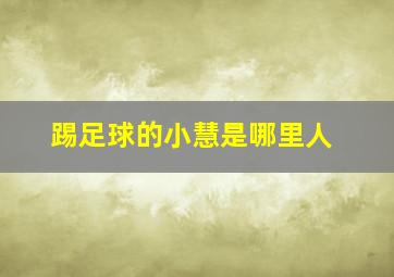 踢足球的小慧是哪里人