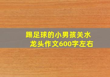 踢足球的小男孩关水龙头作文600字左右