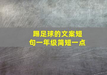 踢足球的文案短句一年级简短一点