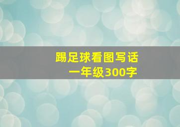 踢足球看图写话一年级300字