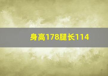 身高178腿长114