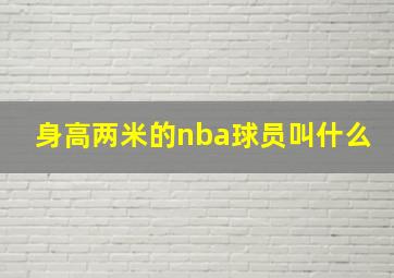 身高两米的nba球员叫什么