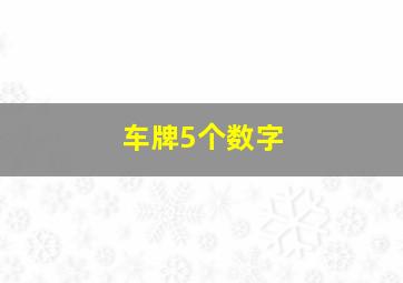 车牌5个数字