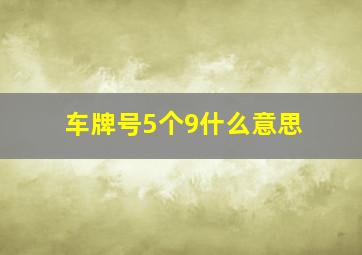 车牌号5个9什么意思