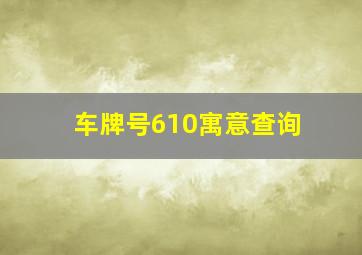 车牌号610寓意查询