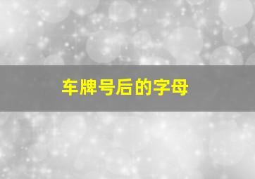 车牌号后的字母