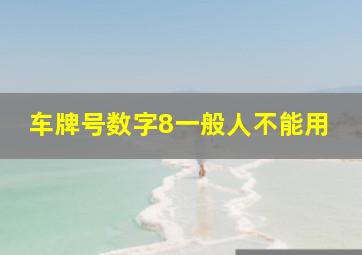 车牌号数字8一般人不能用