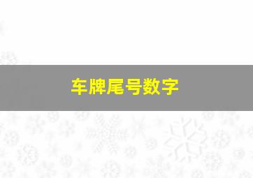 车牌尾号数字