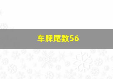 车牌尾数56