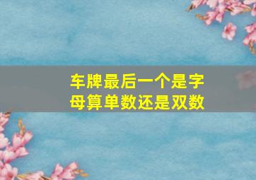 车牌最后一个是字母算单数还是双数