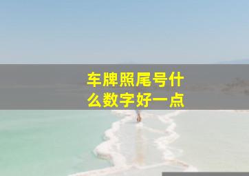 车牌照尾号什么数字好一点