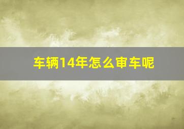 车辆14年怎么审车呢