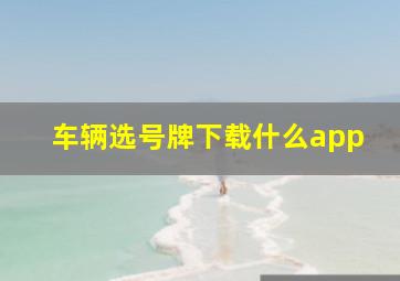 车辆选号牌下载什么app