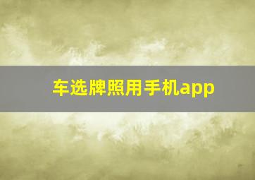 车选牌照用手机app