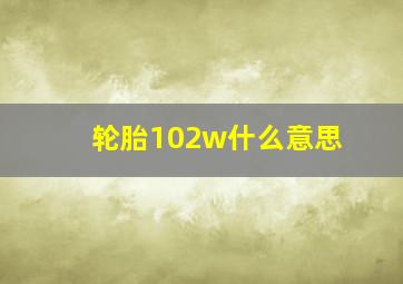 轮胎102w什么意思