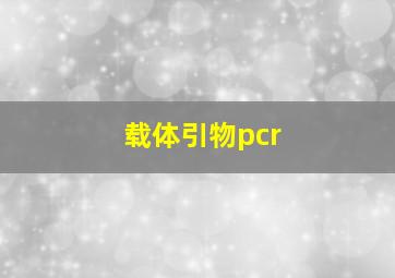 载体引物pcr