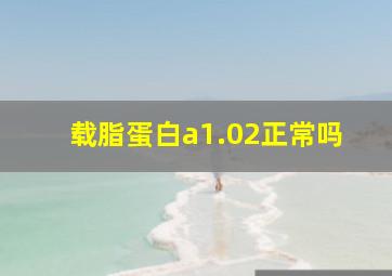 载脂蛋白a1.02正常吗