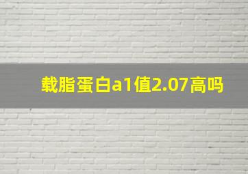 载脂蛋白a1值2.07高吗