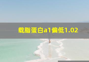 载脂蛋白a1偏低1.02