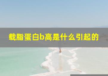 载脂蛋白b高是什么引起的