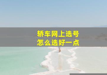 轿车网上选号怎么选好一点