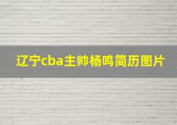 辽宁cba主帅杨鸣简历图片