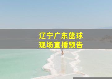 辽宁广东篮球现场直播预告