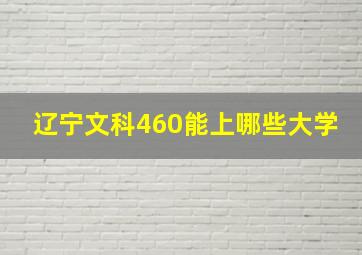 辽宁文科460能上哪些大学