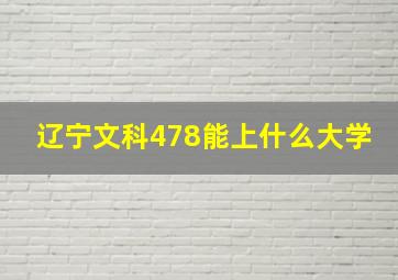 辽宁文科478能上什么大学