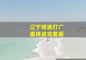 辽宁球迷打广厦球迷完整版