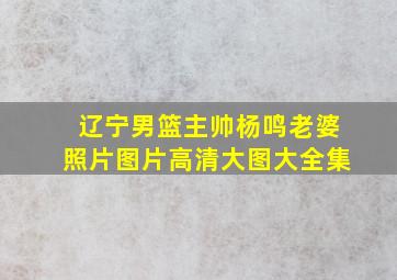 辽宁男篮主帅杨鸣老婆照片图片高清大图大全集