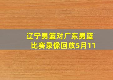 辽宁男篮对广东男篮比赛录像回放5月11