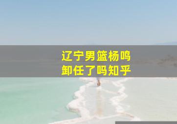 辽宁男篮杨鸣卸任了吗知乎