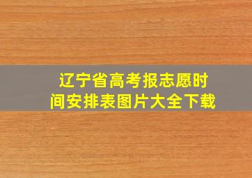 辽宁省高考报志愿时间安排表图片大全下载