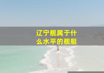 辽宁舰属于什么水平的舰艇