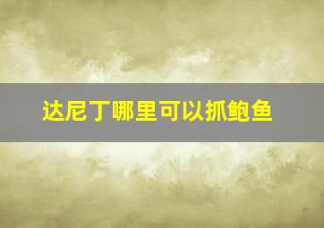 达尼丁哪里可以抓鲍鱼