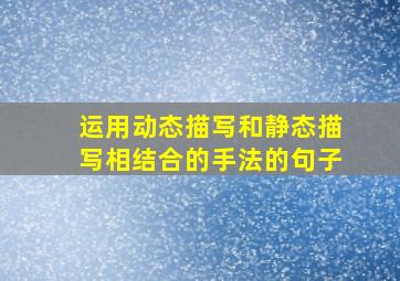 运用动态描写和静态描写相结合的手法的句子