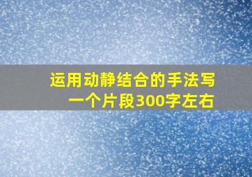 运用动静结合的手法写一个片段300字左右