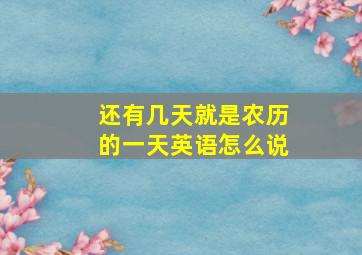 还有几天就是农历的一天英语怎么说